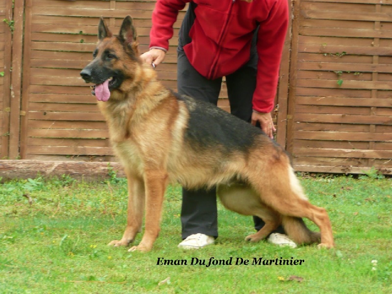 Eman de Font Martinier